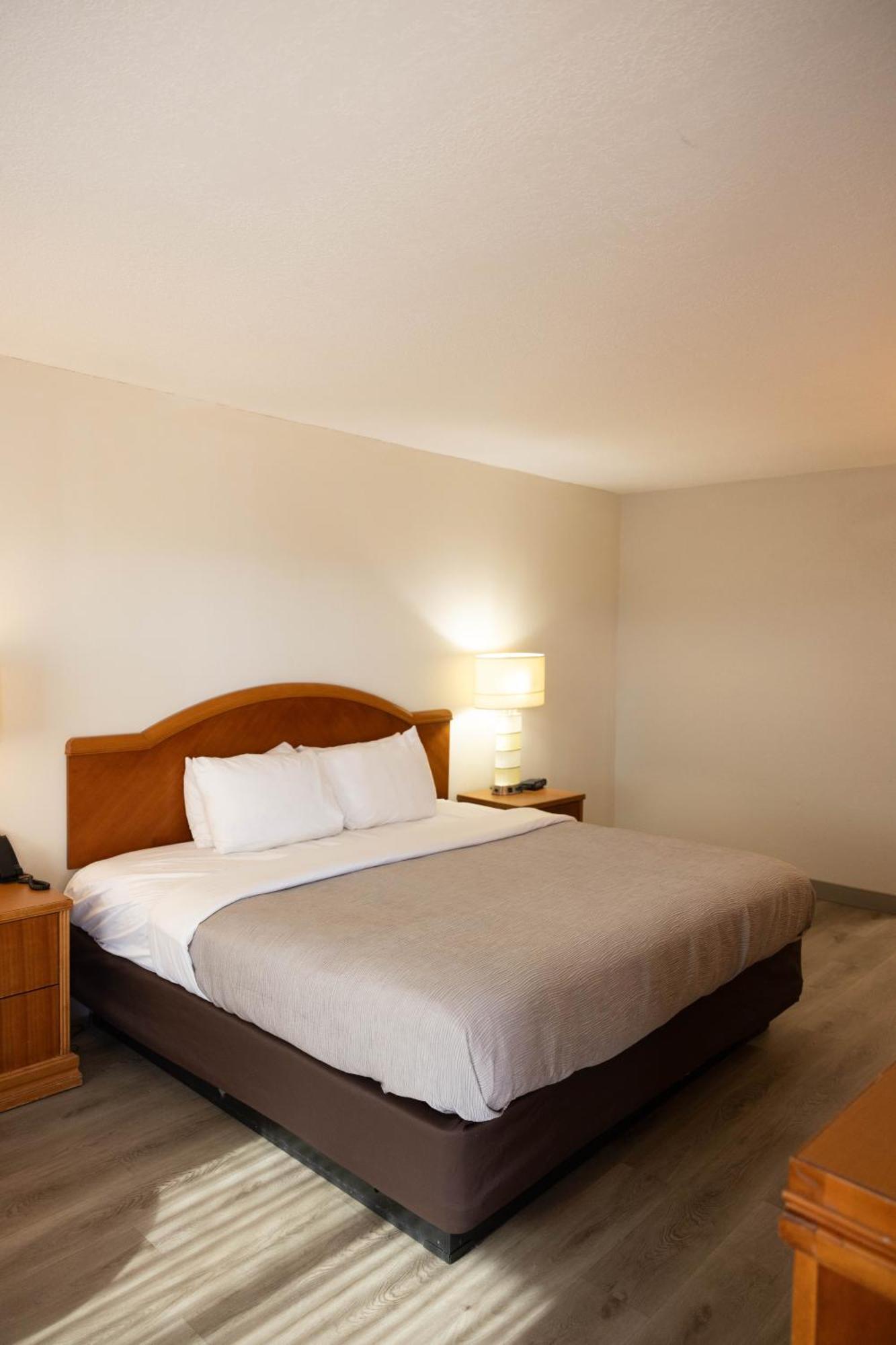 Quality Inn & Suites Lake Havasu City Eksteriør billede